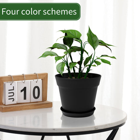 GARDIFE large-plant display pack for herbs and tropicals.