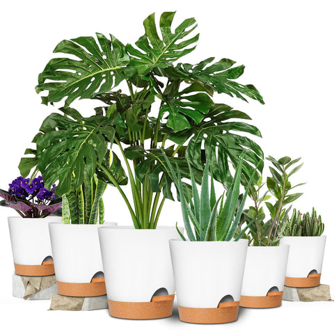 GARDIFE 7-inch self-watering pot with reservoir simplifies longer intervals between watering.