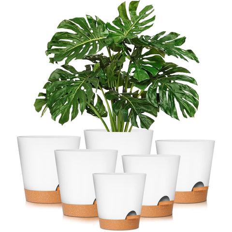 GARDIFE 8-inch self-watering pot with drainage holes supports healthy growth.