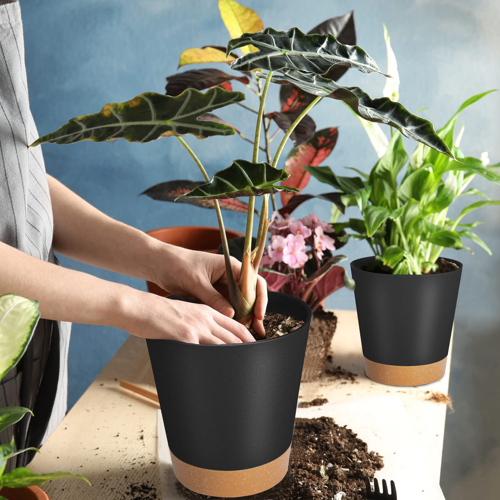 GARDIFE self-watering pot 5-inch perfect for herbs and windowsills
