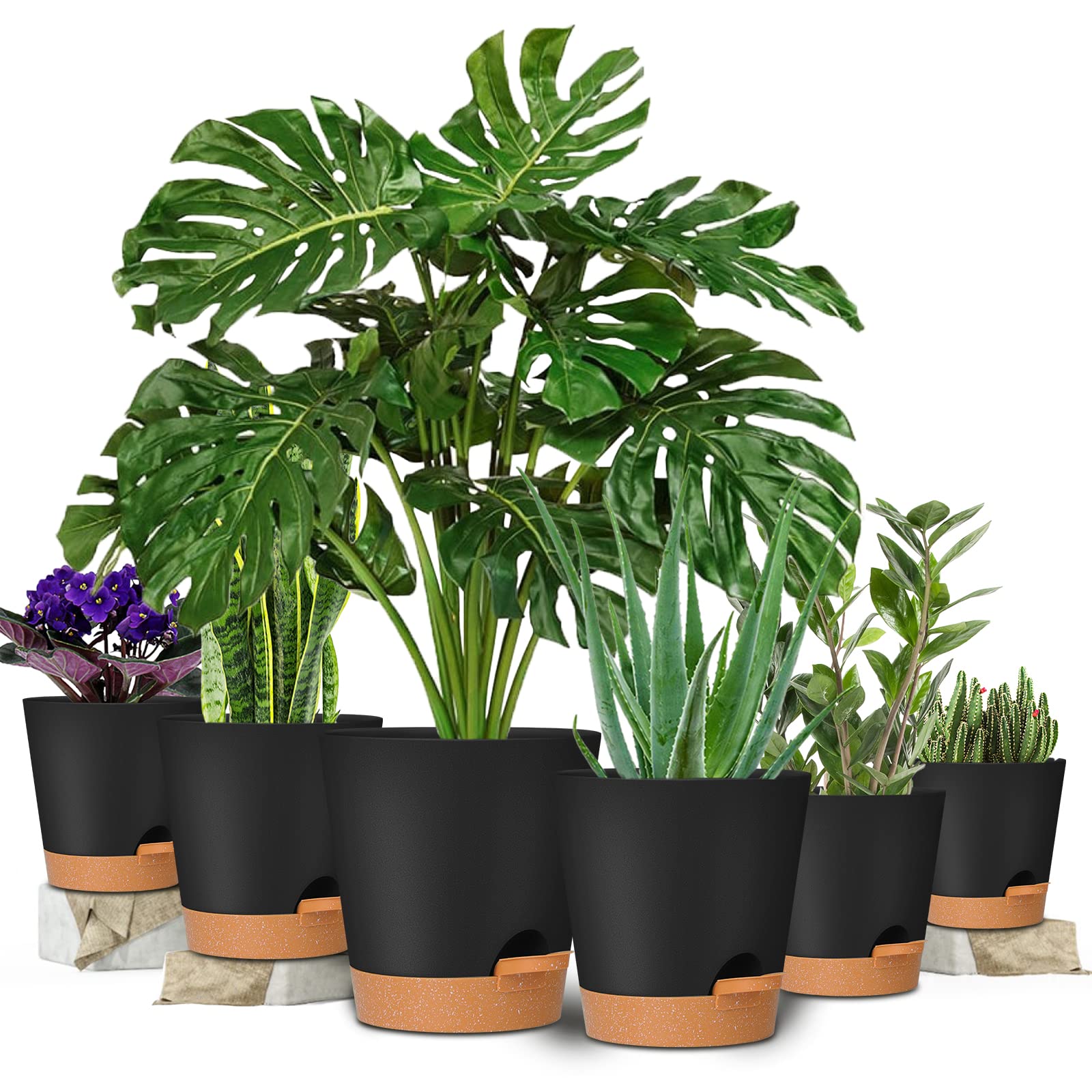 GARDIFE self-watering pot 7-inch showing water reservoir and viewing lip for checks