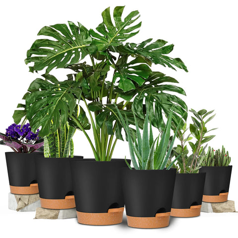 GARDIFE self-watering pot 7-inch showing water reservoir and viewing lip for checks
