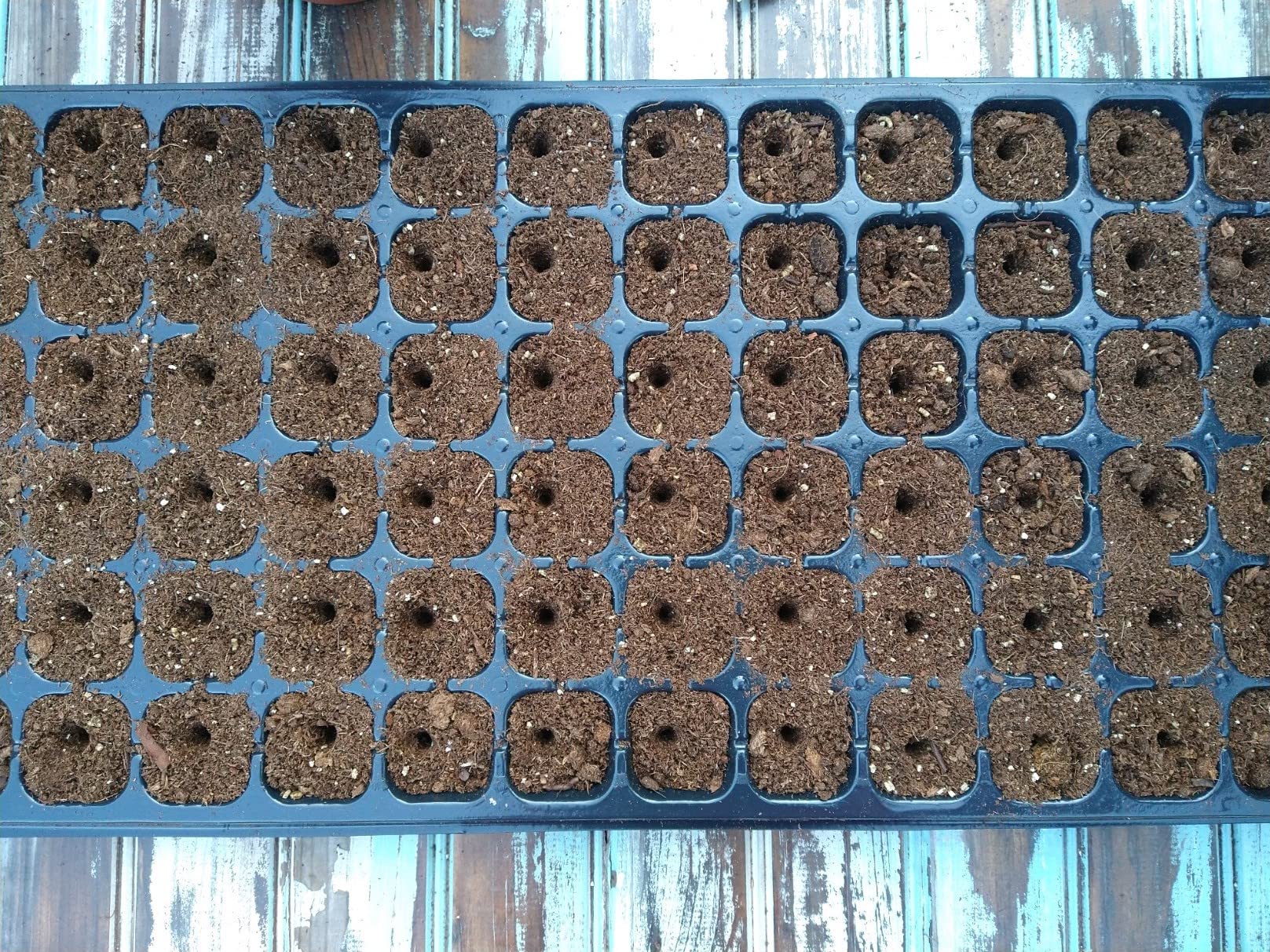 Gardinnovations 24-Hole Digger expands planting options from spinach to carrots