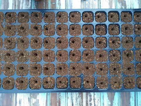 Gardinnovations 24-Hole Digger expands planting options from spinach to carrots