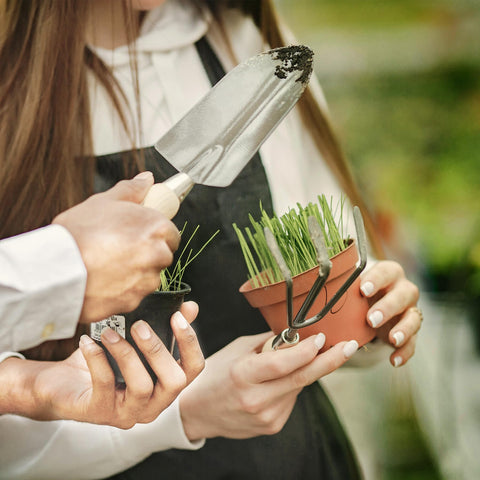 Gardlover gift-ready garden kit, ideal for garden lovers and gifting occasions.