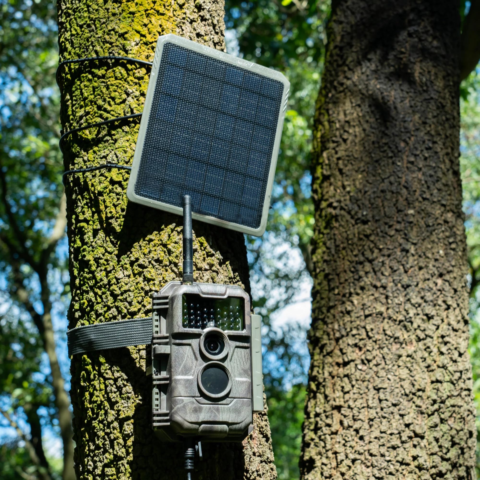 GardePro SP300 compact design enables easy mounting on remote trails.