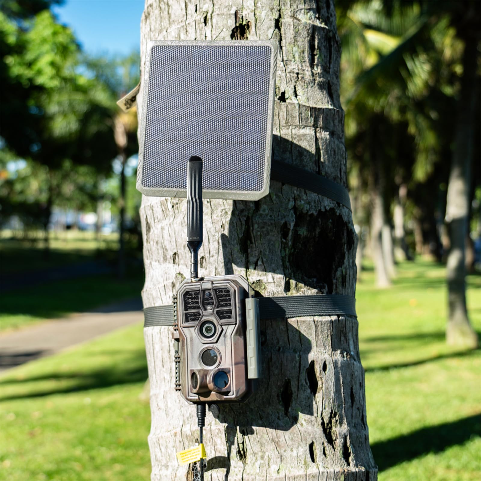 GardePro SP300 IP65-rated panel powering lithium trail cameras in rugged environments.