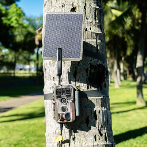 GardePro SP300 IP65-rated panel powering lithium trail cameras in rugged environments.