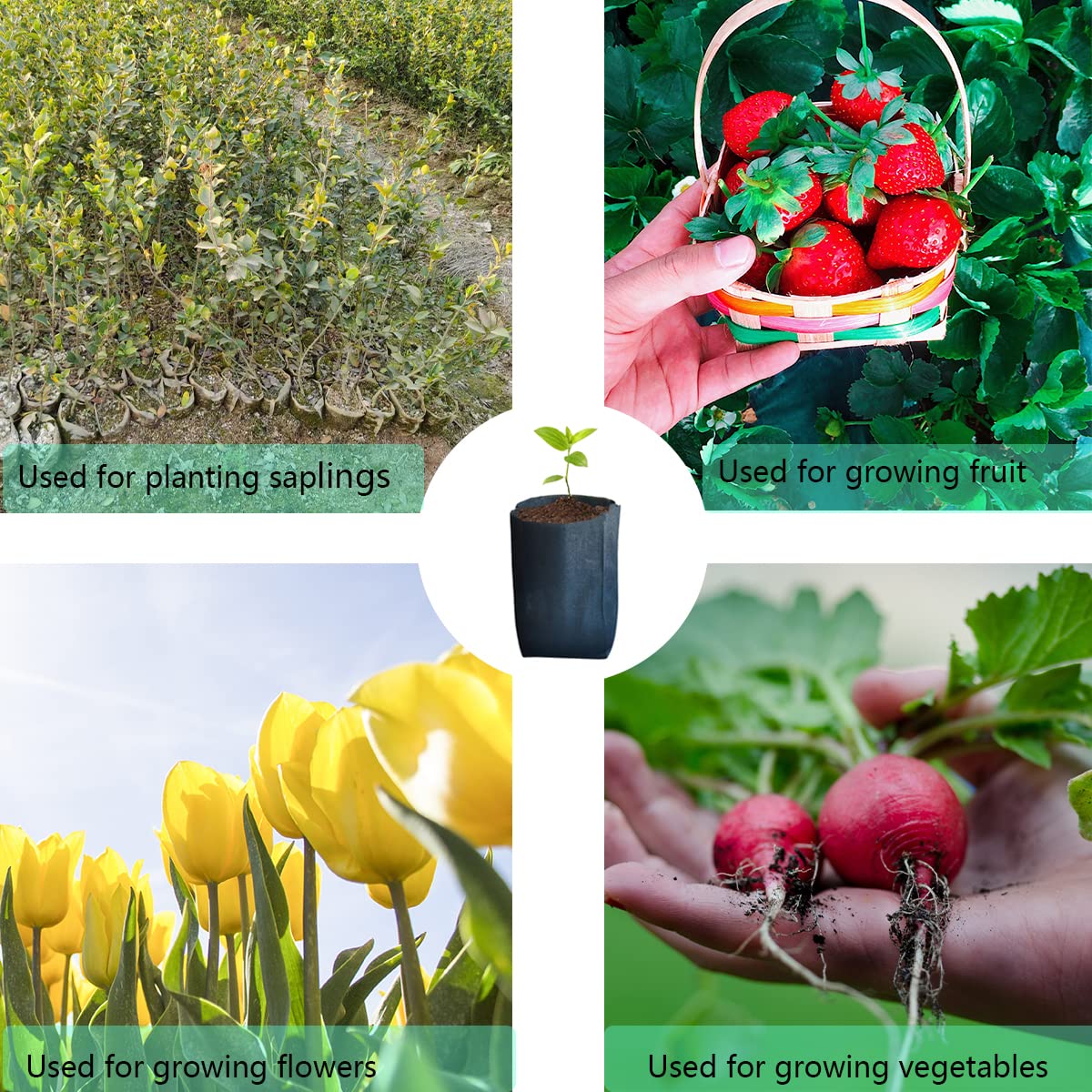 Gardtree ready-to-use seedling bags support organic growing with no soil pollution.