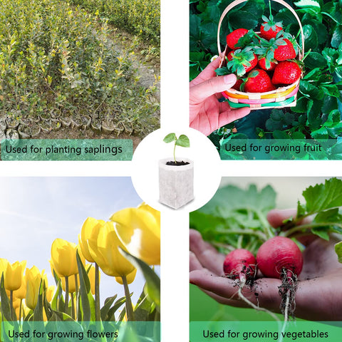 Gardtree seedling bags space-saving-design ideal for balconies and small greenhouses.