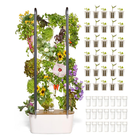 Gardyn Home 4 vertical hydroponics system on kitchen counter for fresh produce