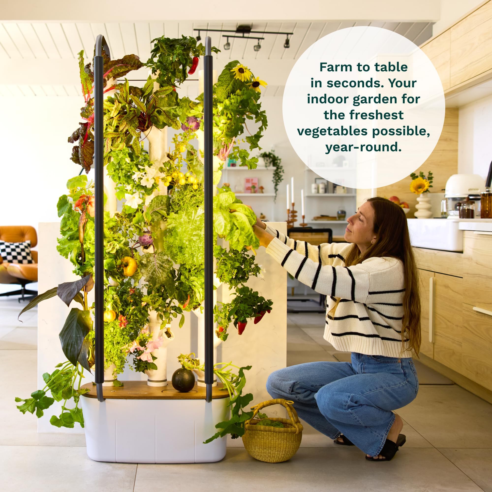 Gardyn Home 4 yCubes with non-GMO seeds included