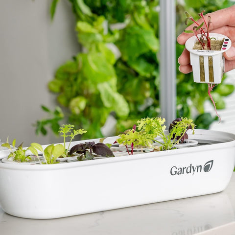 Gardyn germination tray shows capacity for up to ten seeds, seed cubes not included.