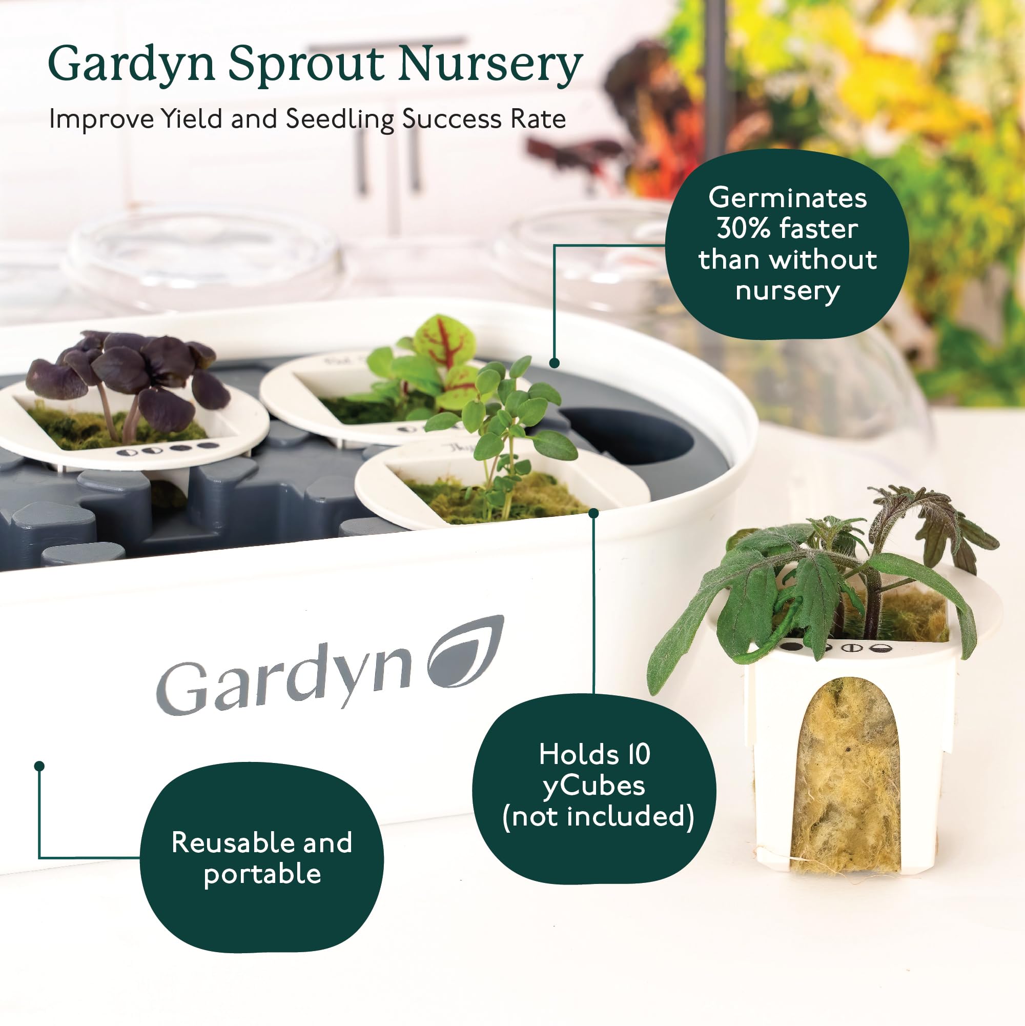 Gardyn seed starter tray inner component keeps seeds organized during germination.