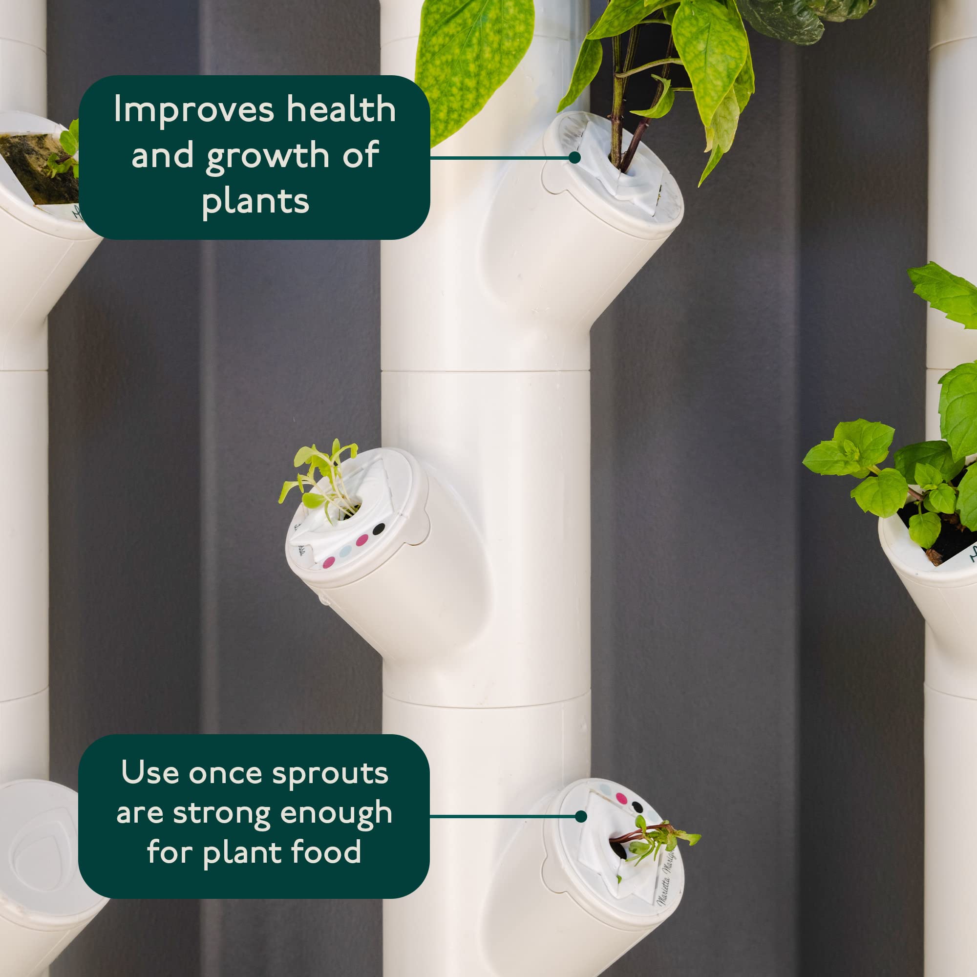 Gardyn yCovers center the plant to minimize damage to stems.