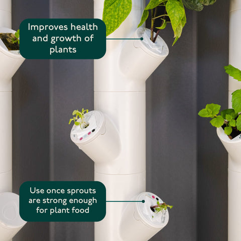 Gardyn yCovers center the plant to minimize damage to stems.