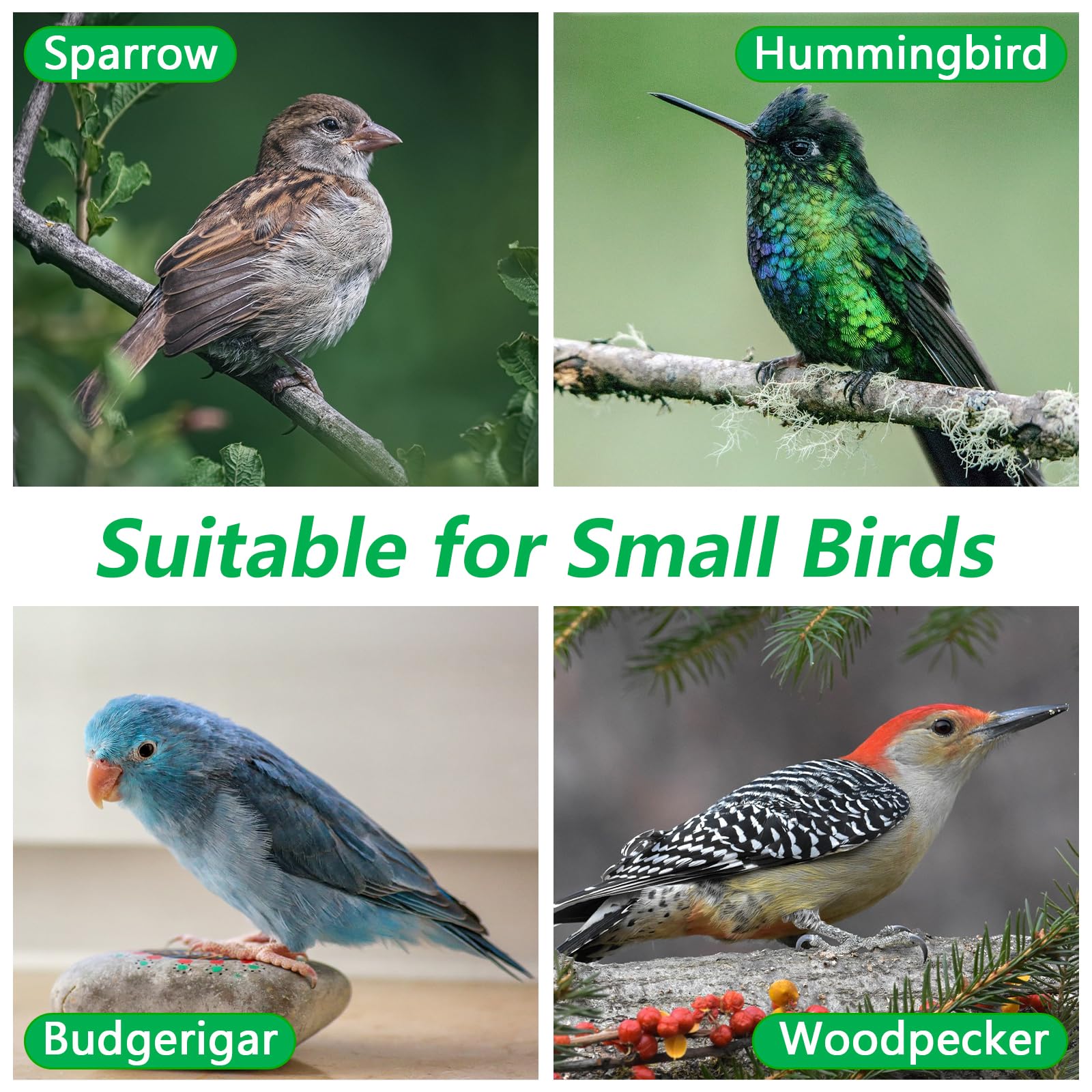 GARDYUE nesting box designed for small species like hummingbirds.