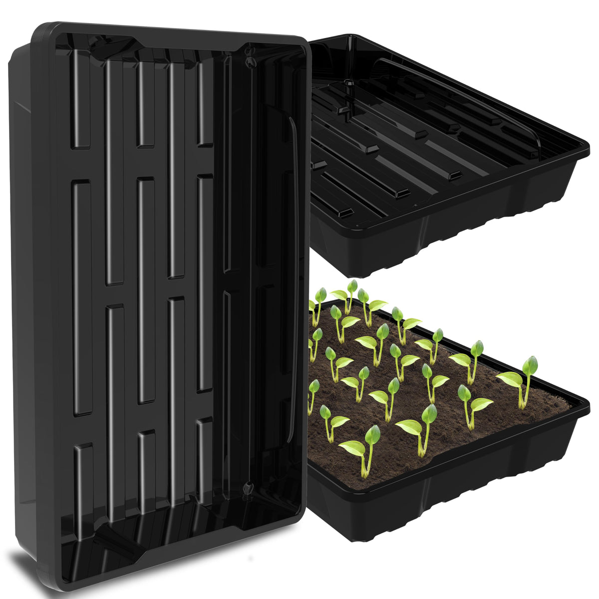 Gardzen seed trays 10-pack for seed starting and microgreens at home