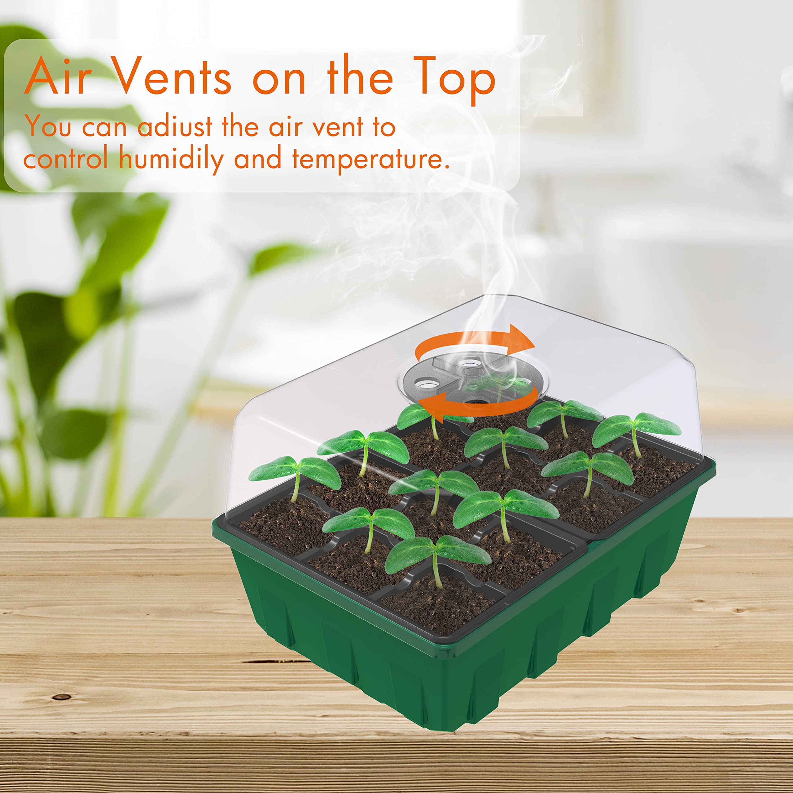 Gardzen 12-cell insert tray keeps seeds organized and economical.