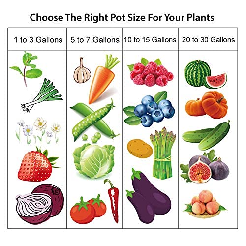 Gardzen 20-pack 10gal grow bags suitable for multiple plant types.