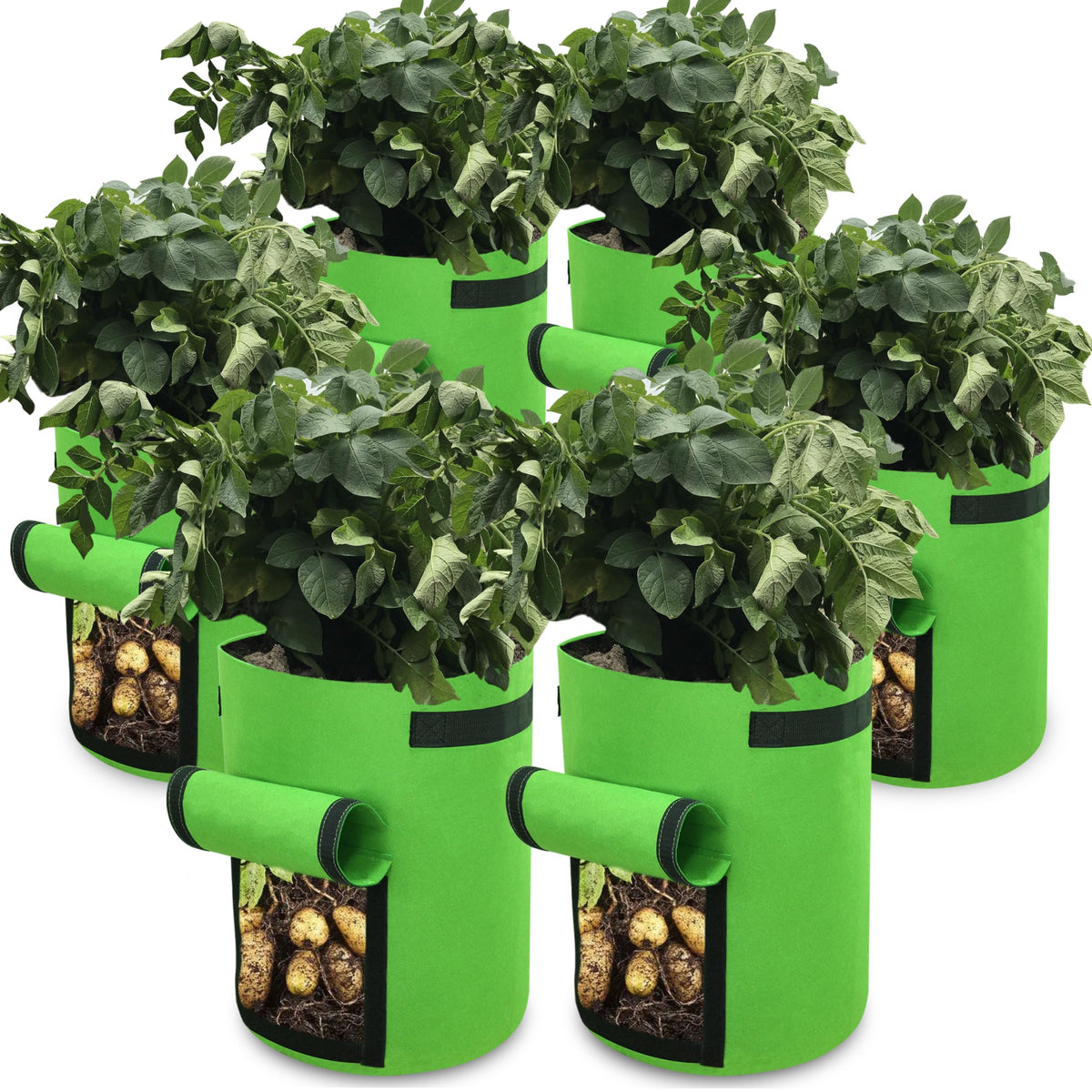 Gardzen 6-pack BPA-free 10-gallon grow bags for versatile urban gardening.