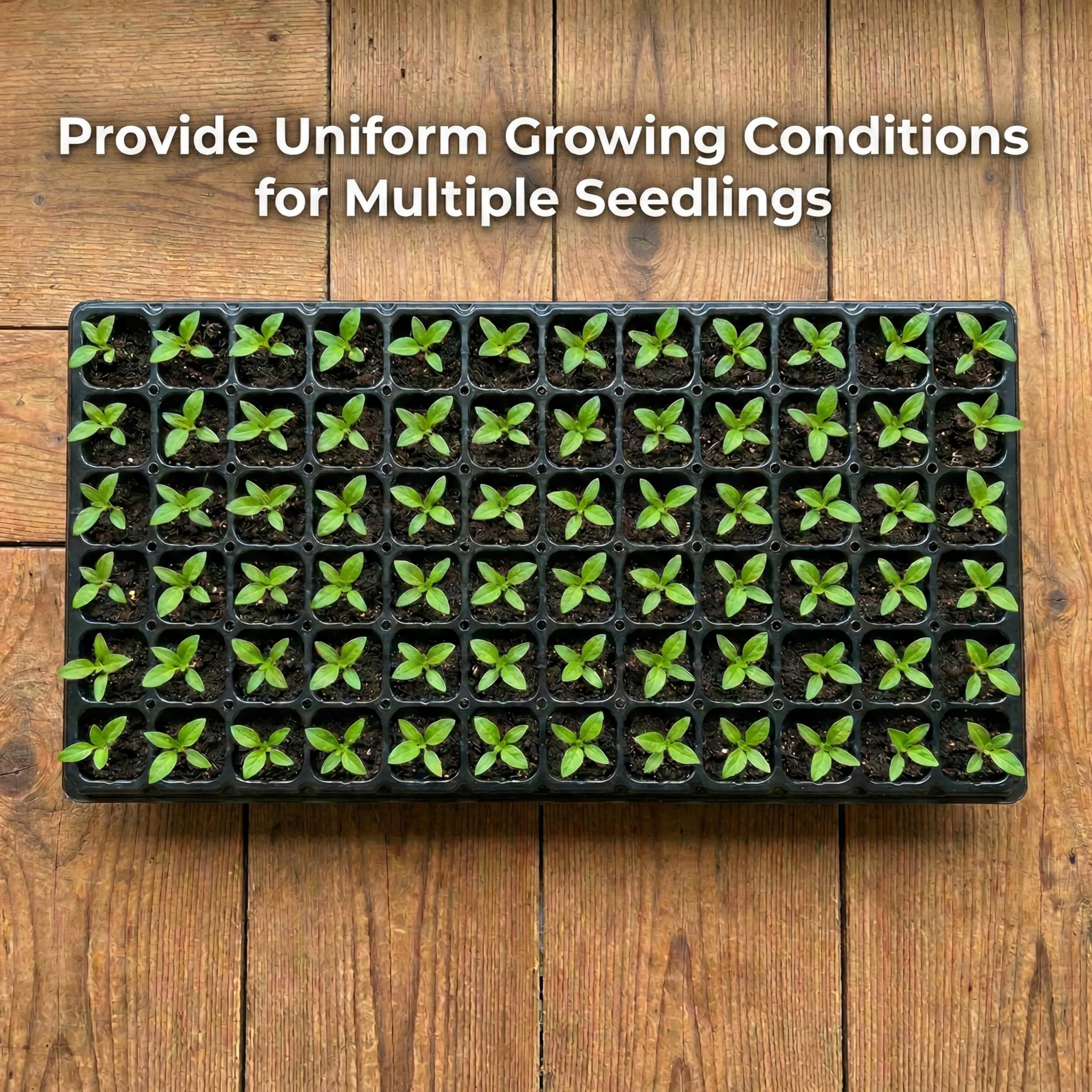 Gardzen 72-cell tray supports diverse crops from greens to herbs.