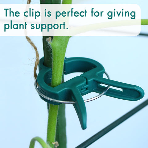 Gardzen adjustable plant clips let you reposition as plants stretch to the trellis.