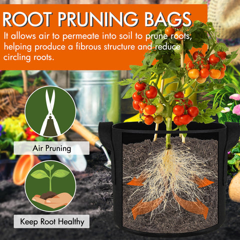 Gardzen air pruning effect shows healthier root growth