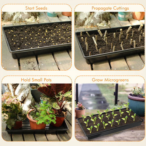 Gardzen channel-watering trays show channels guiding moisture for even uptake.