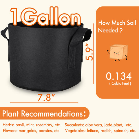 Gardzen container growing solution for versatile plant placements indoors or outdoors.