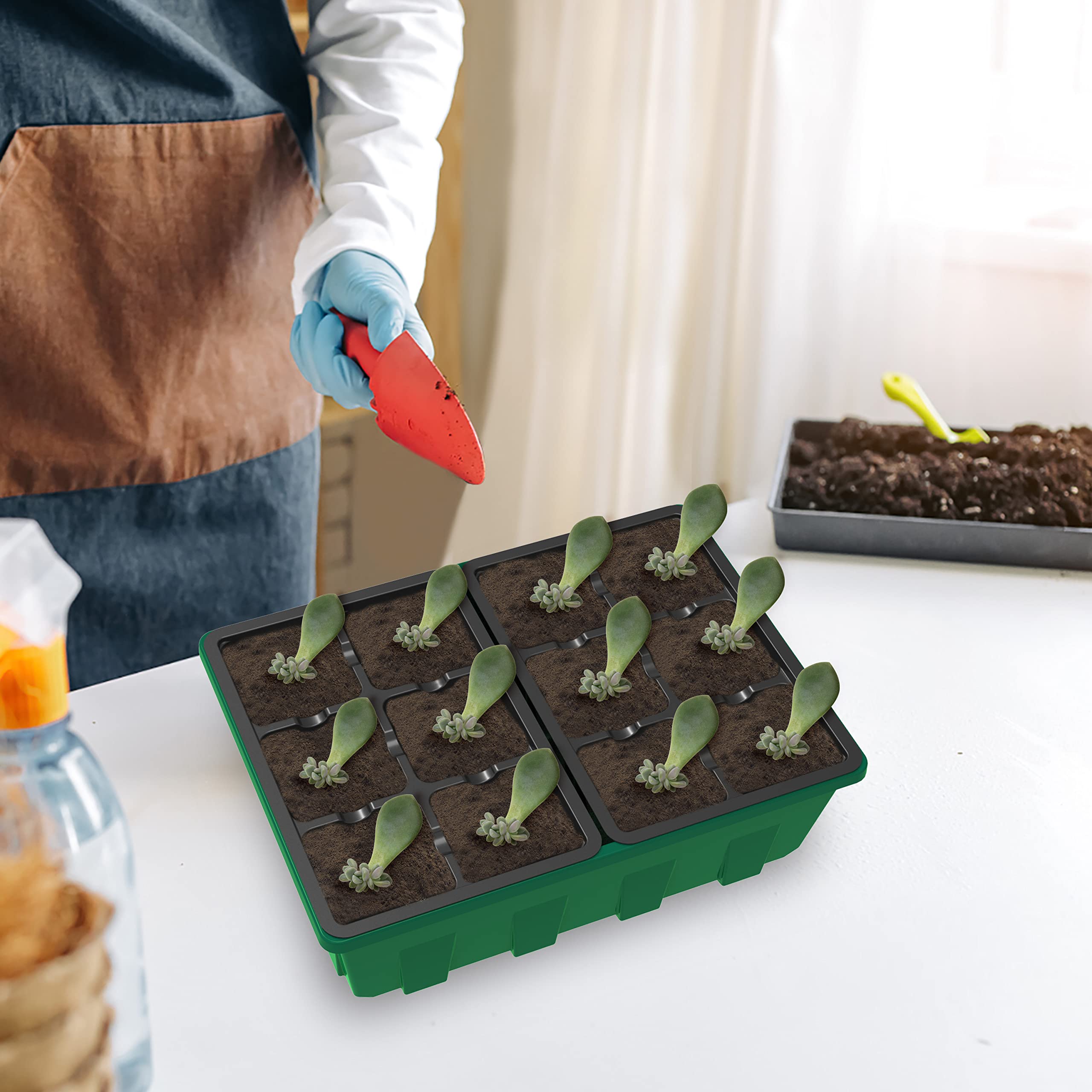 Gardzen drainage design prevents overwatering while seedlings establish.