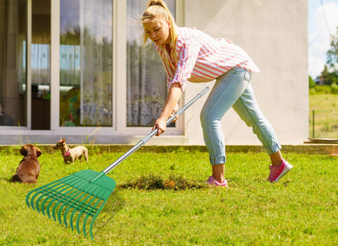 Gardzen garden-cleanup set includes rake, scoops, bag, gloves, pads.