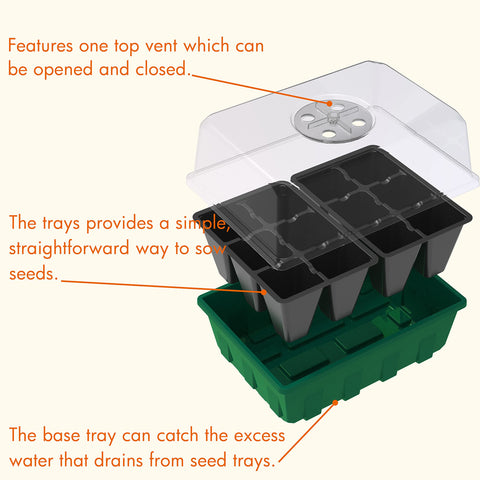 Gardzen green base propagator offers sturdy base and clean setup.