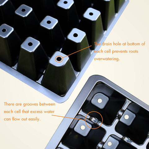 Gardzen transparent dome helps monitor seedling growth