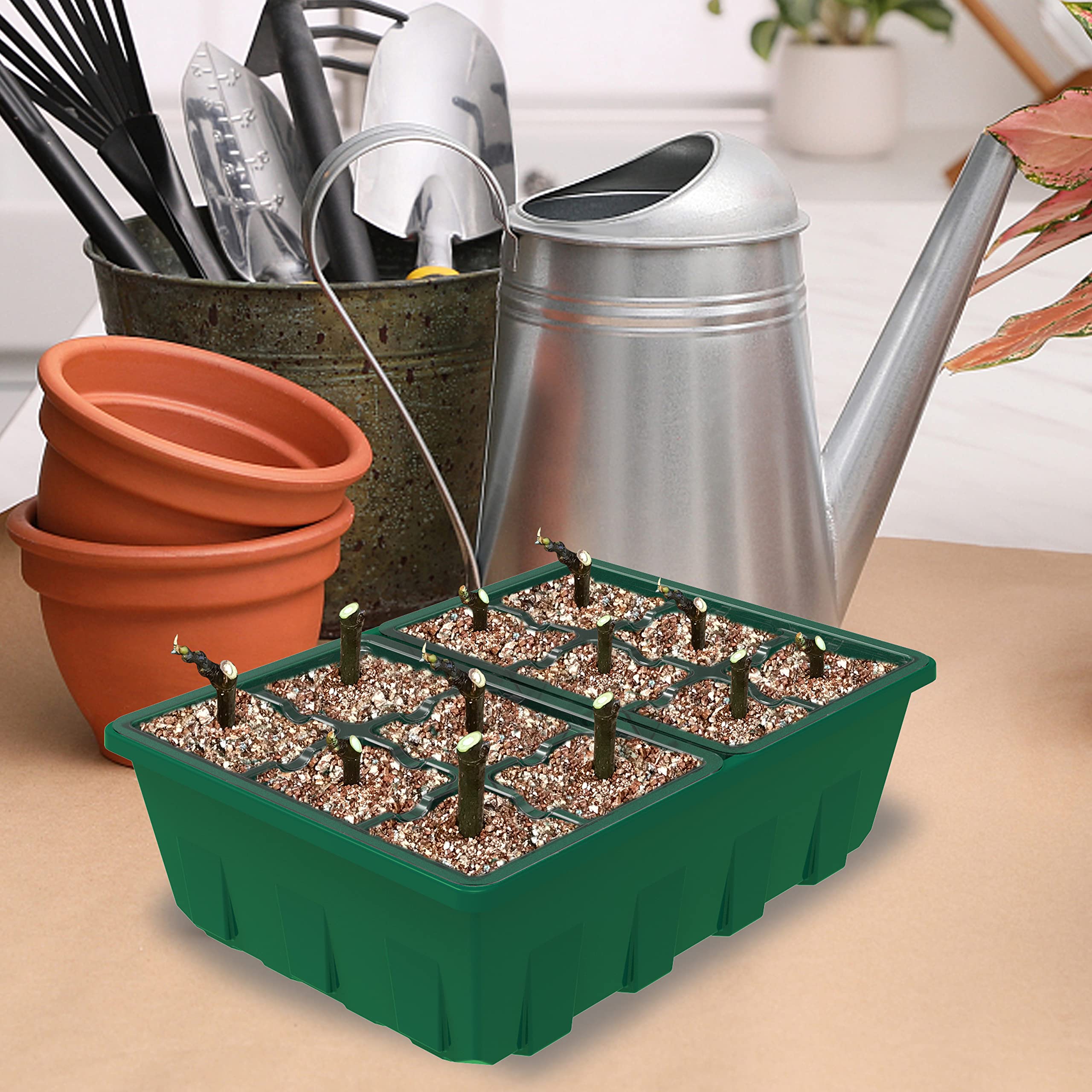 Gardzen seed tray with ideal 1.5x1.5x2.25 inch cell size