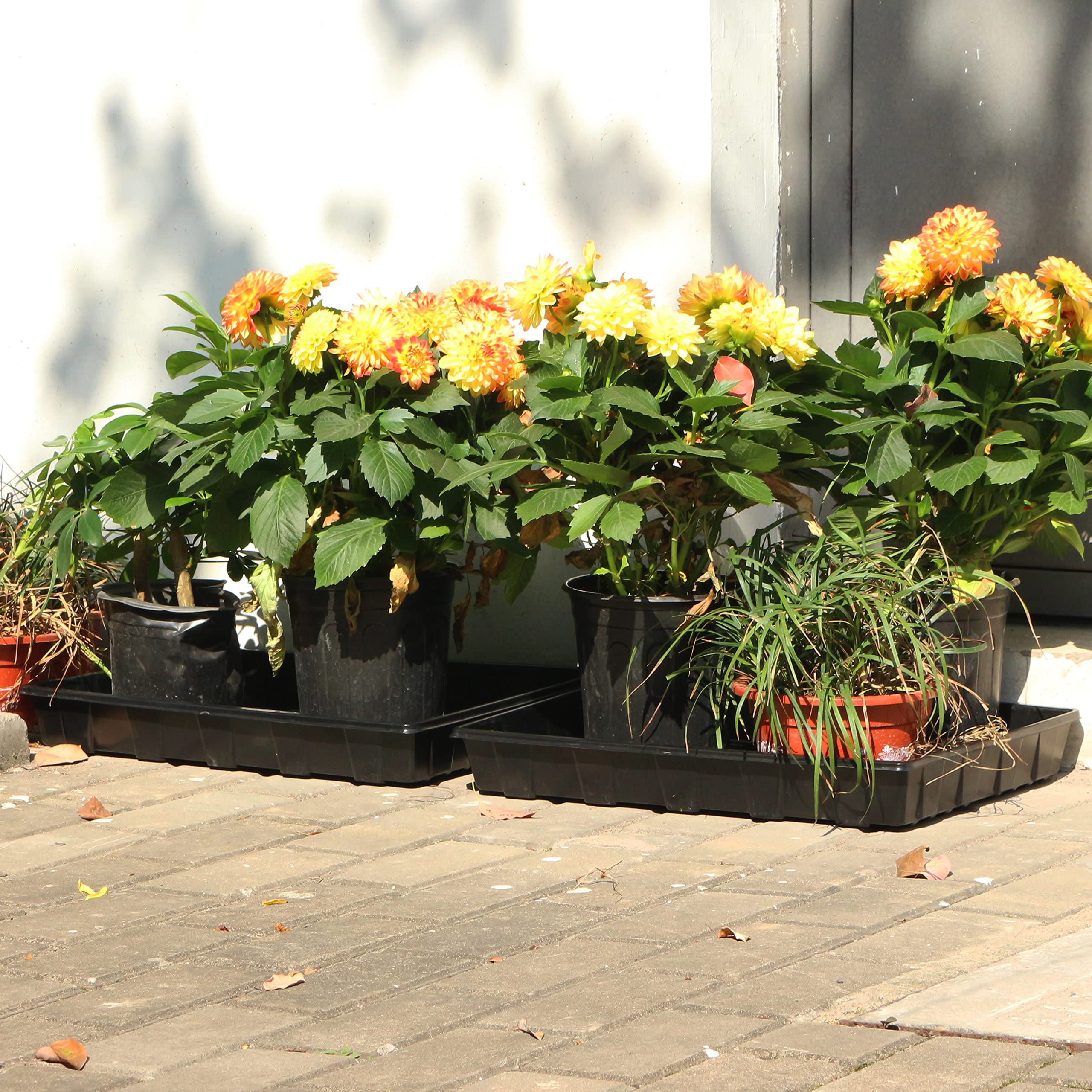 Gardzen included dibber and widger with seed trays for easy transplanting