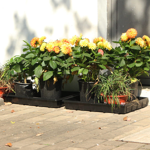 Gardzen included dibber and widger with seed trays for easy transplanting