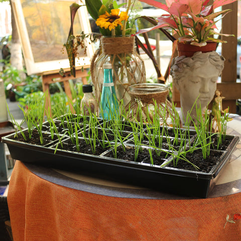 Gardzen indoor garden trays help keep shelves neat and plants organized.