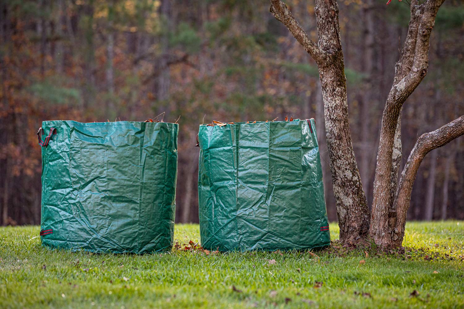 Gardzen bags ready to collect leaves and debris
