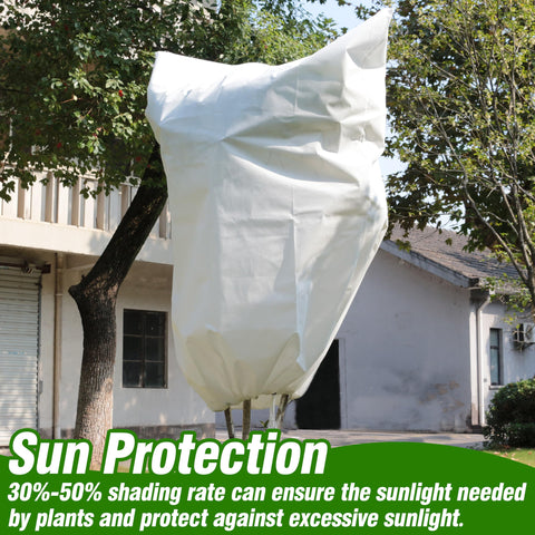 Gardzen covers protect outdoor plants like saplings, roses, and hanging baskets.