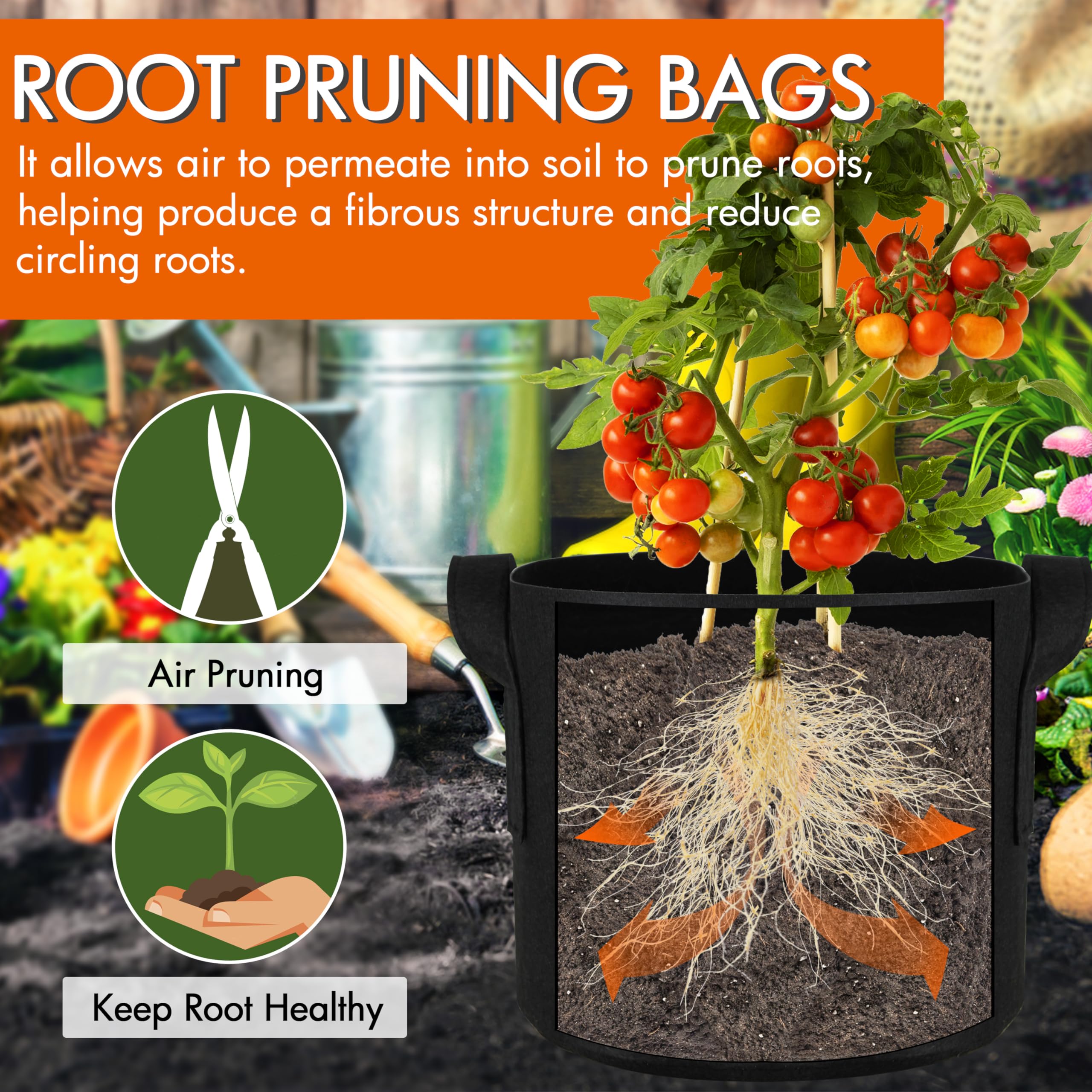 Gardzen 6-pack for patios and balconies expands container gardening options