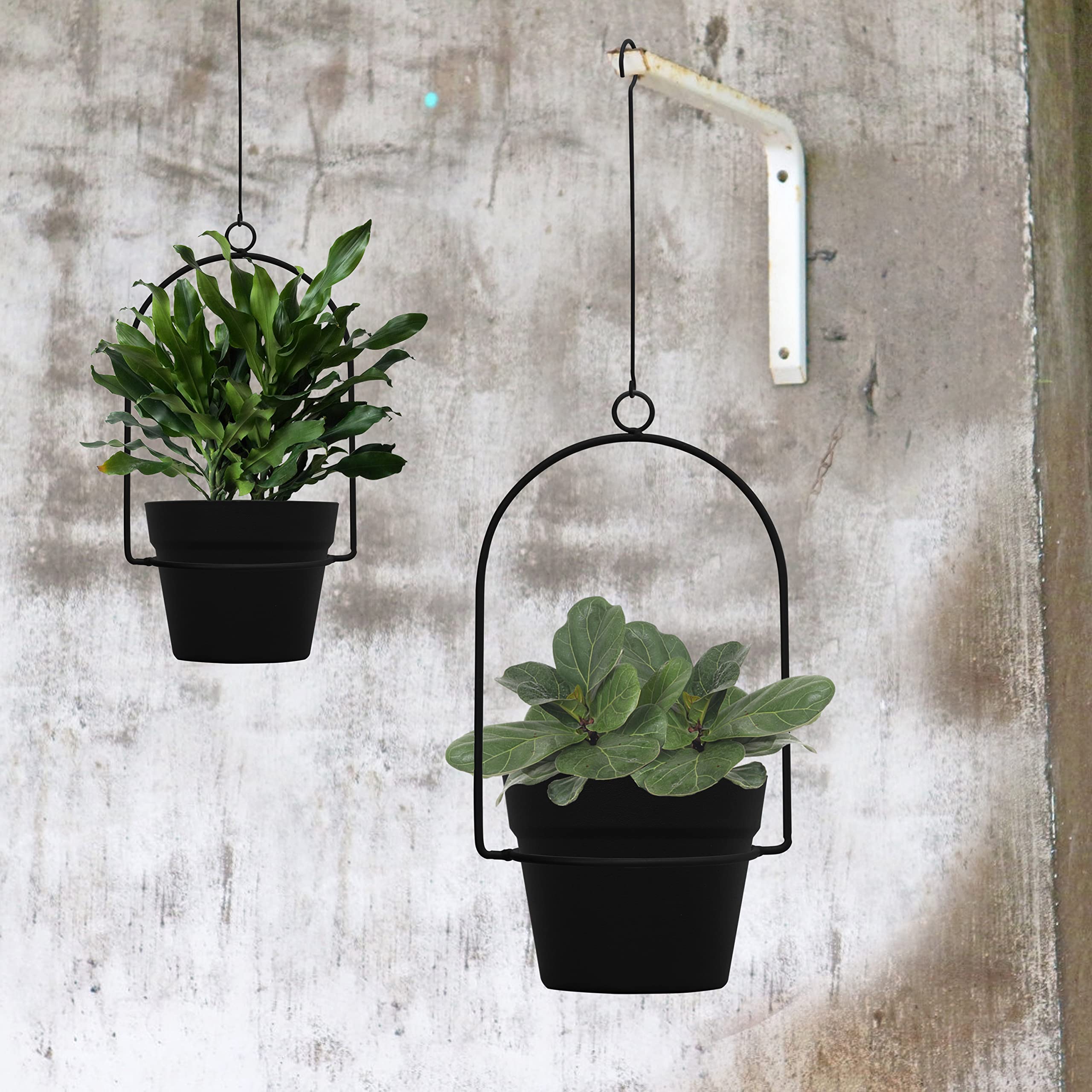 Gardzen pet-friendly organized plant display keeps spaces tidy