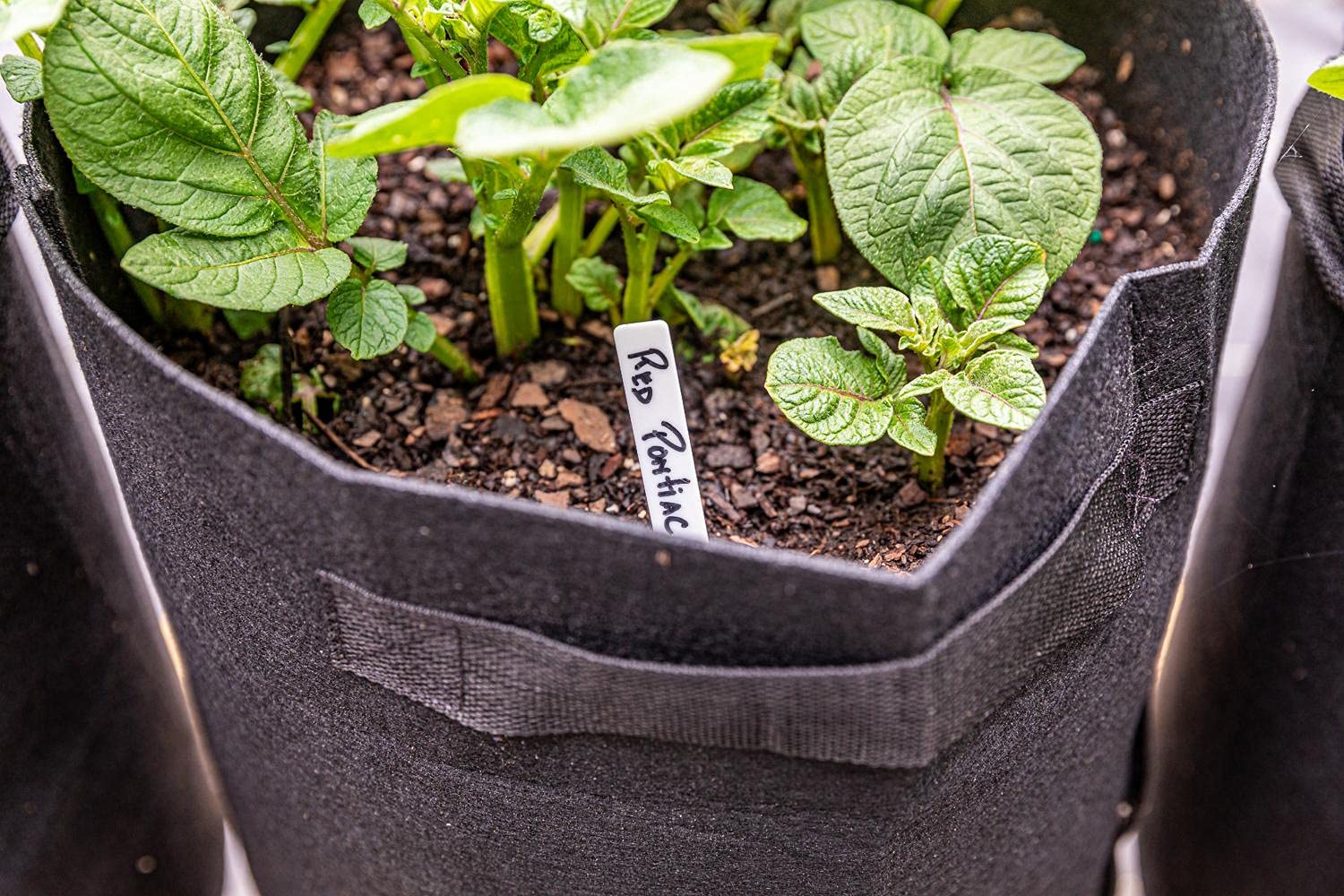 Gardzen portable garden bags ideal for patios and balconies
