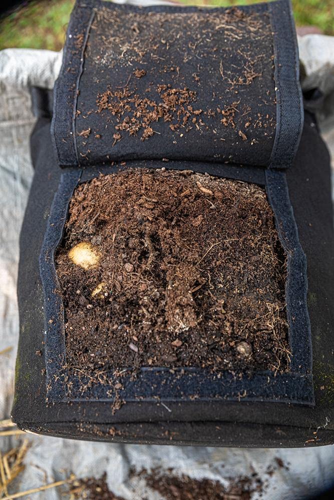 Gardzen 10-gallon bags suitable for potatoes, carrots, and more