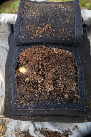 Gardzen 10-gallon bags suitable for potatoes, carrots, and more
