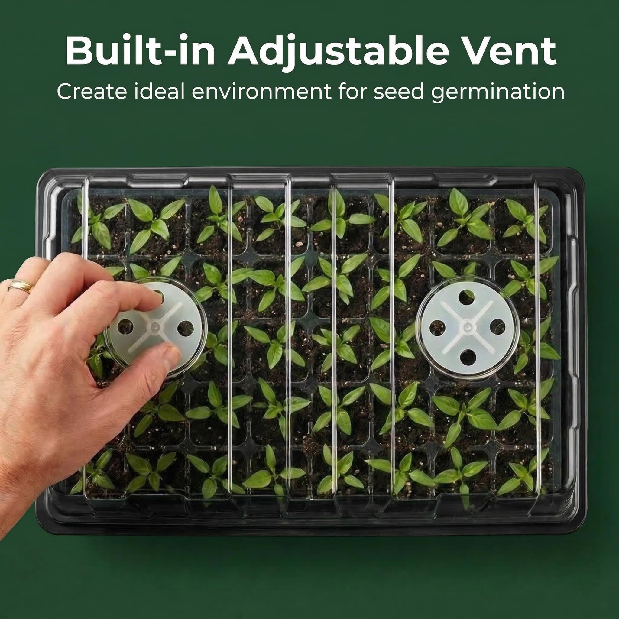 Clear Gardzen propagator dome lets you monitor young plants.