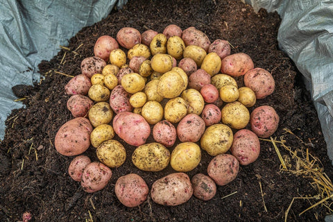 Gardzen reusable seasons design supports sustainable gardening