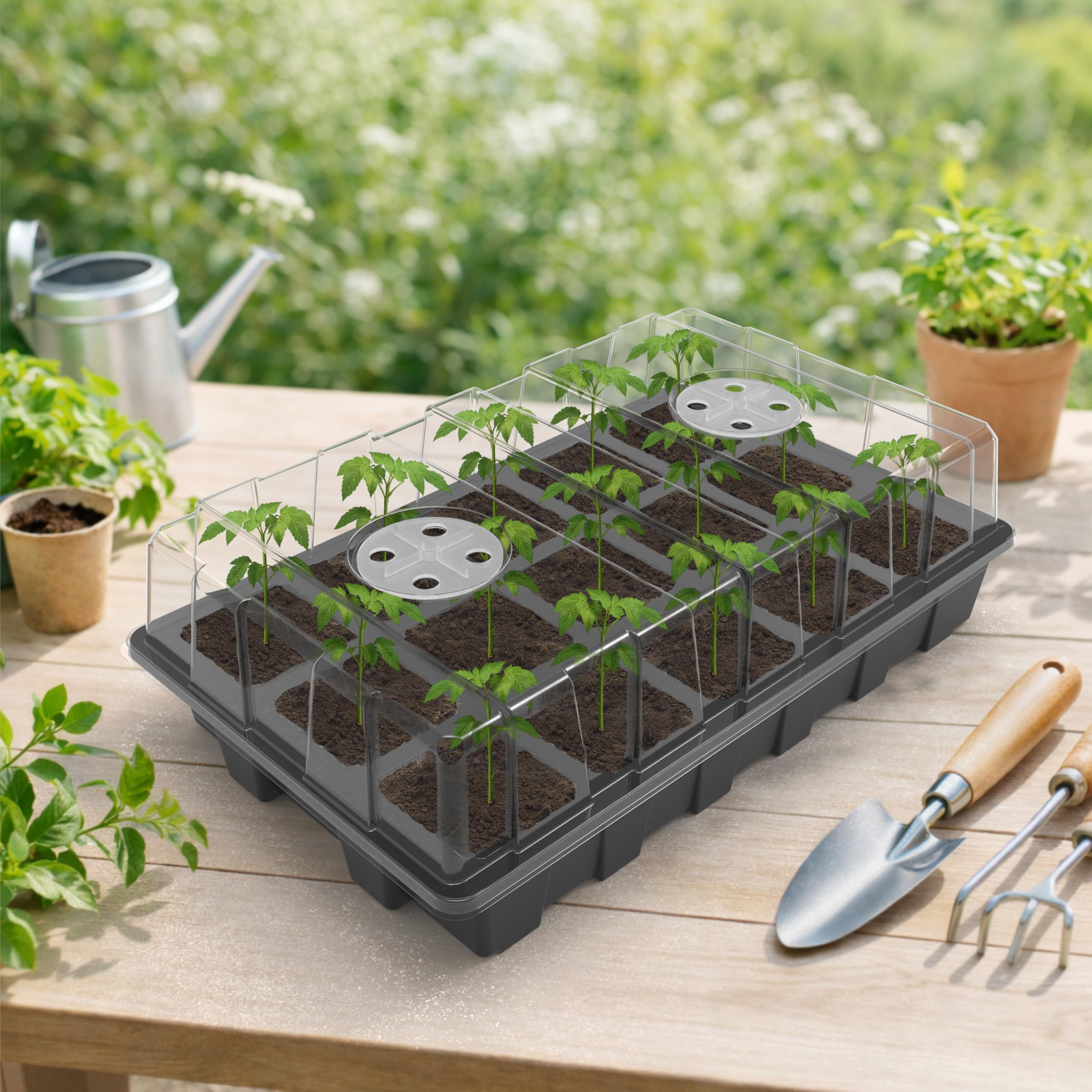 Gardzen clear dome provides real-time growth visibility for attentive gardeners
