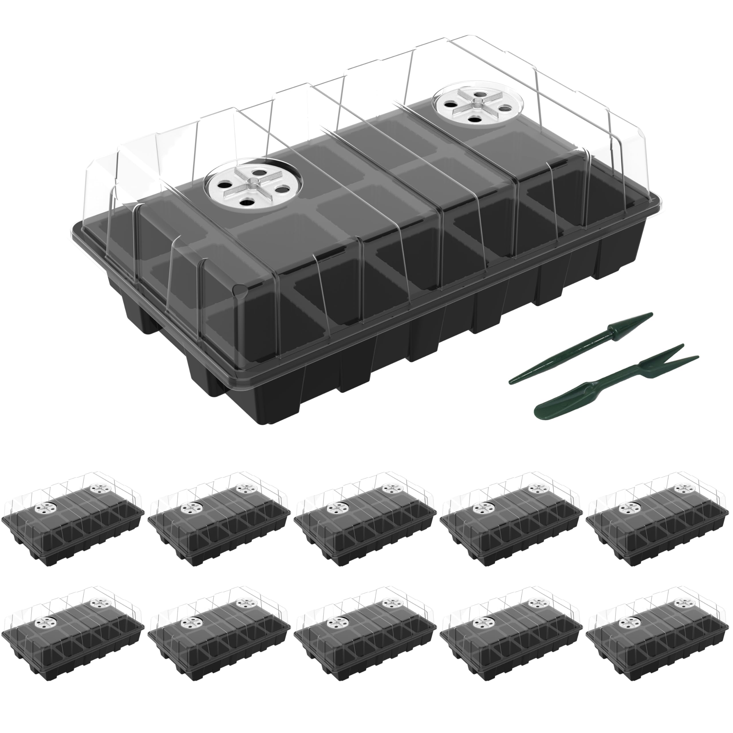 Gardzen seed starter tray with 15-cell capacity ready for seed germination
