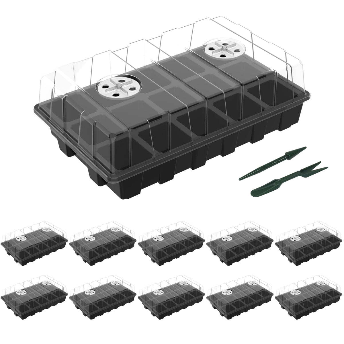 Gardzen seed starter tray with 15-cell capacity ready for seed germination